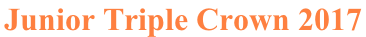Page Title
