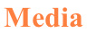 Page Title