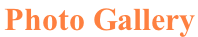 Page Title